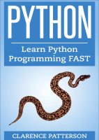 Python_ Learn the Basics FAST From Python Progr.pdf